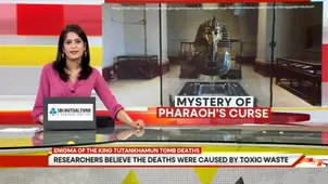 Mystery of Pharaoh's curse: Tutankhamun’s tomb 'curse' mystery solved