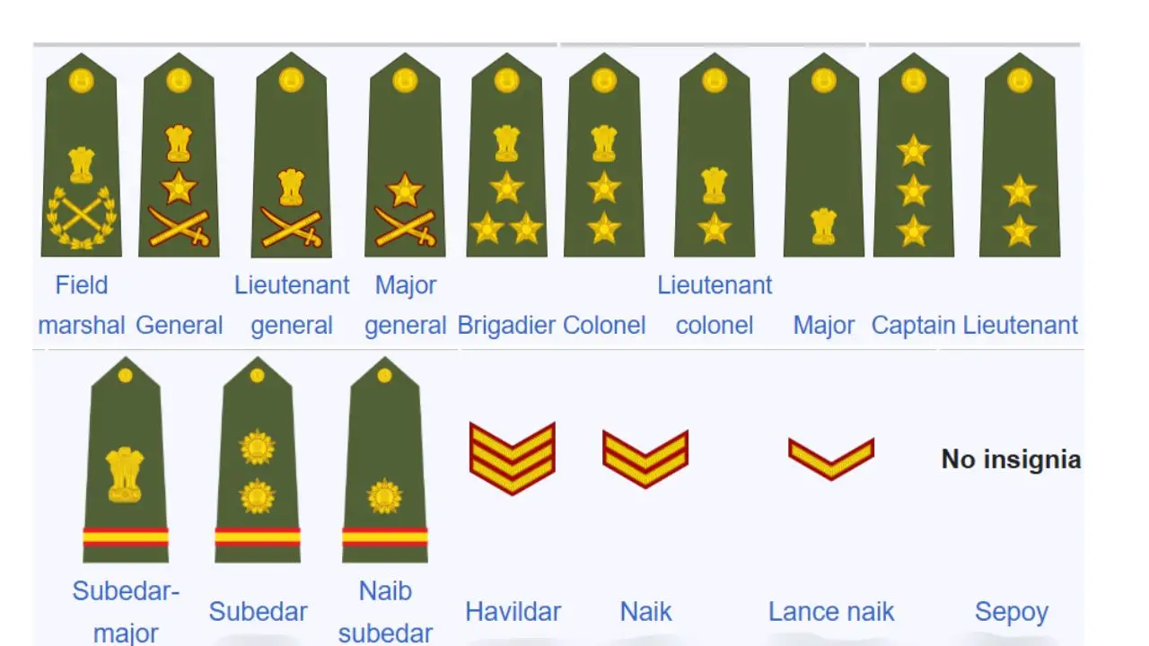 Full rank structure of the Army
