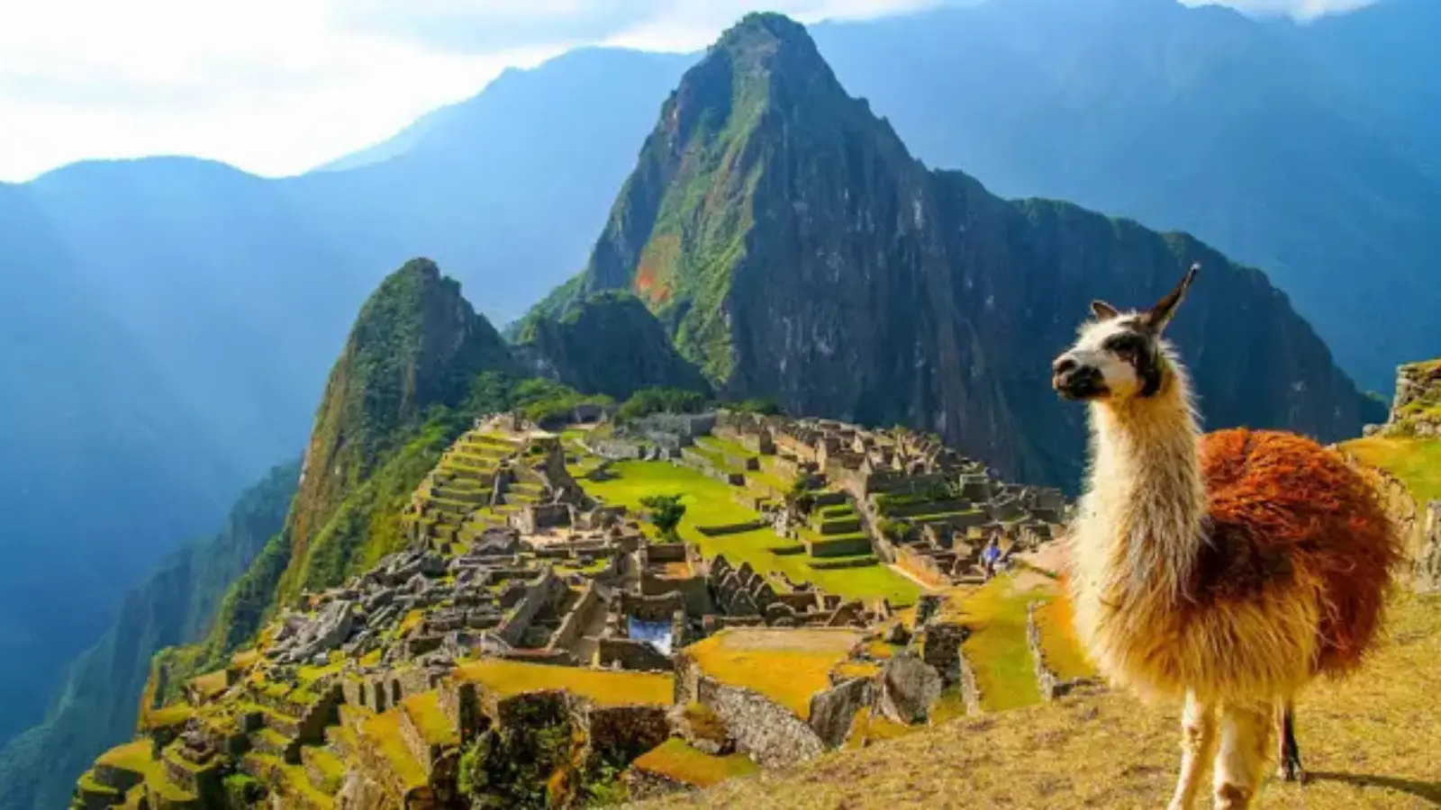 Machu Picchu