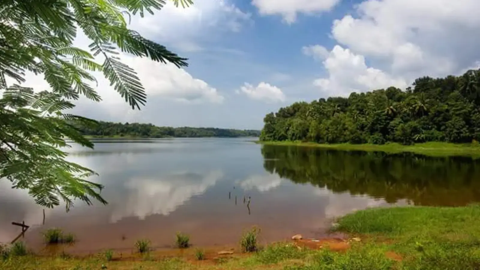 Sasthamkotta Lake – Kerala’s Largest Freshwater Lake