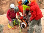 Puppy miraculously survives 100-foot fall into a Colorado canyon