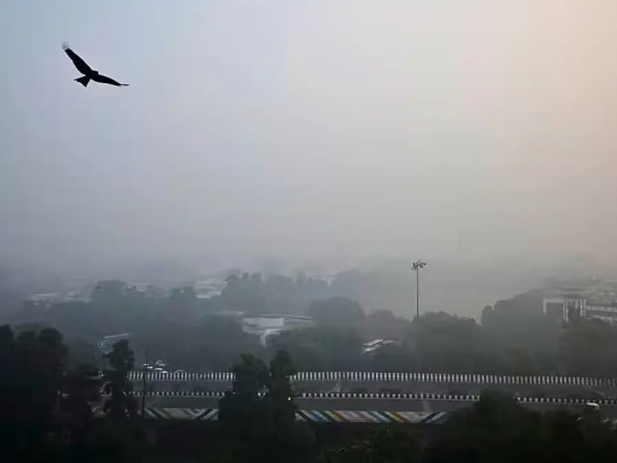 India: Rain brings chills to Delhi; flights disrupted; airlines issue advisory; IMD predicts colder days