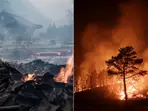 South Korea wildfires: 24 killed as inferno threatens UNESCO-listed sites with ‘unprecedented damage’