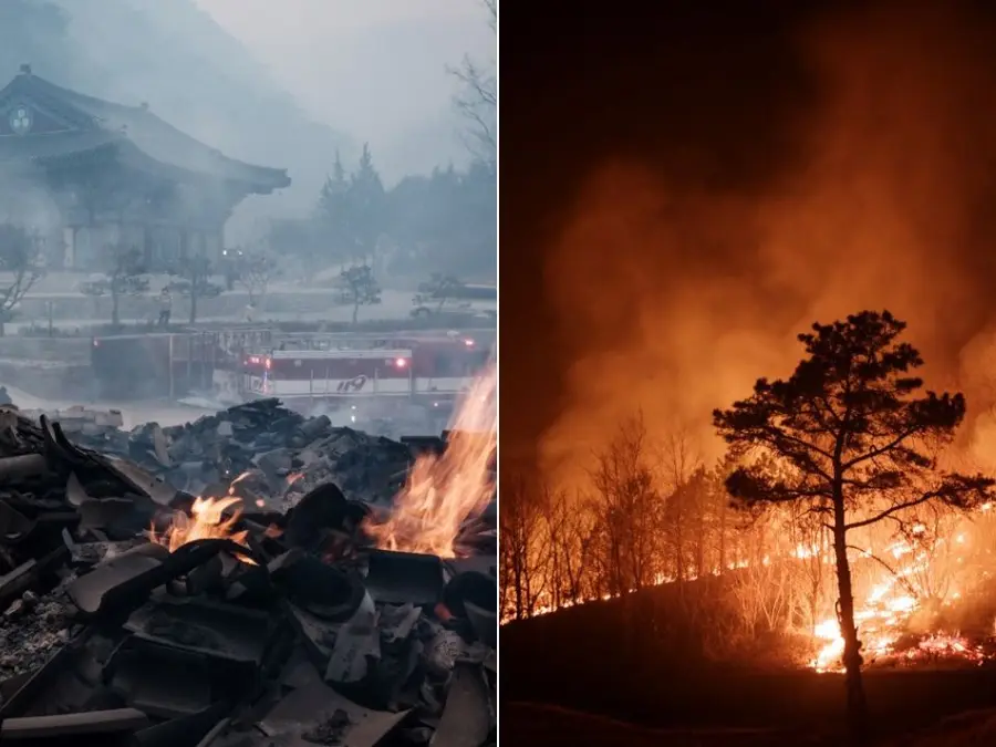 South Korea wildfires: 24 killed as inferno threatens UNESCO-listed sites with ‘unprecedented damage’