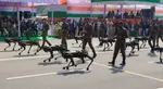 Meet MULE, Indian Army's robotic dog that steals the show at Republic Day parade