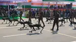 Meet MULE, Indian Army's robotic dog that steals the show at Republic Day parade