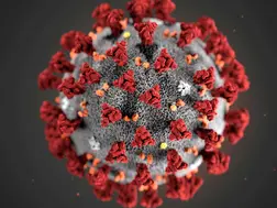 China faces new virus outbreak- What is HMPV? A few FAQs answered