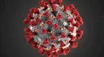 China faces new virus outbreak- What is HMPV? A few FAQs answered