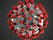 Delhi issues health advisory amid rising respiratory illness cases in China