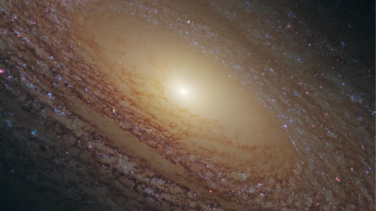Spiral galaxy NGC 2841 