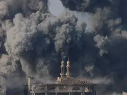 'Armed conflict' most urgent threat for world in 2025: WEF