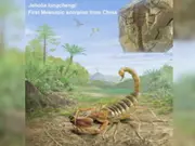 '125-million-year-old': Giant venomous scorpion fossil discovered in China