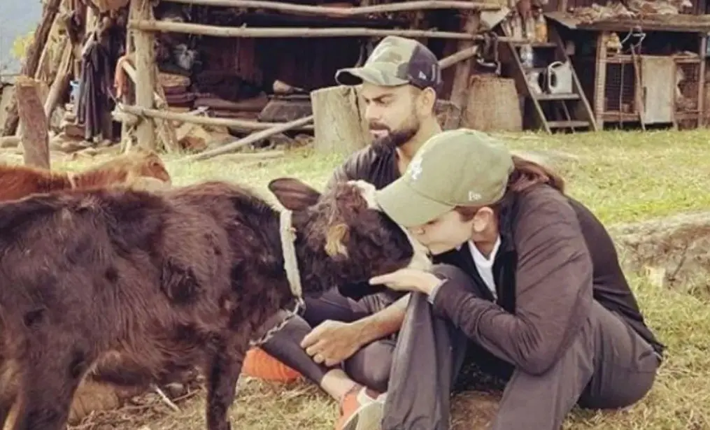 A animal lover