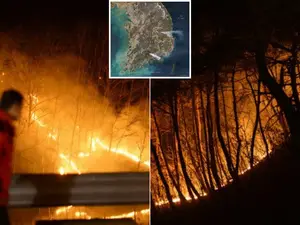 South Korea: Did a man clearing grandparents' gravesite trigger massive wildfires? Probe underway