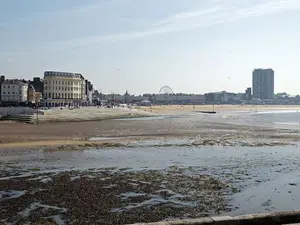 Alien or mermaid? Creepy figure with human-like head and fins baffles Kent beachgoers