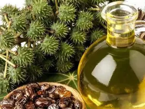 7 reasons why castor oil should be your everyday oil