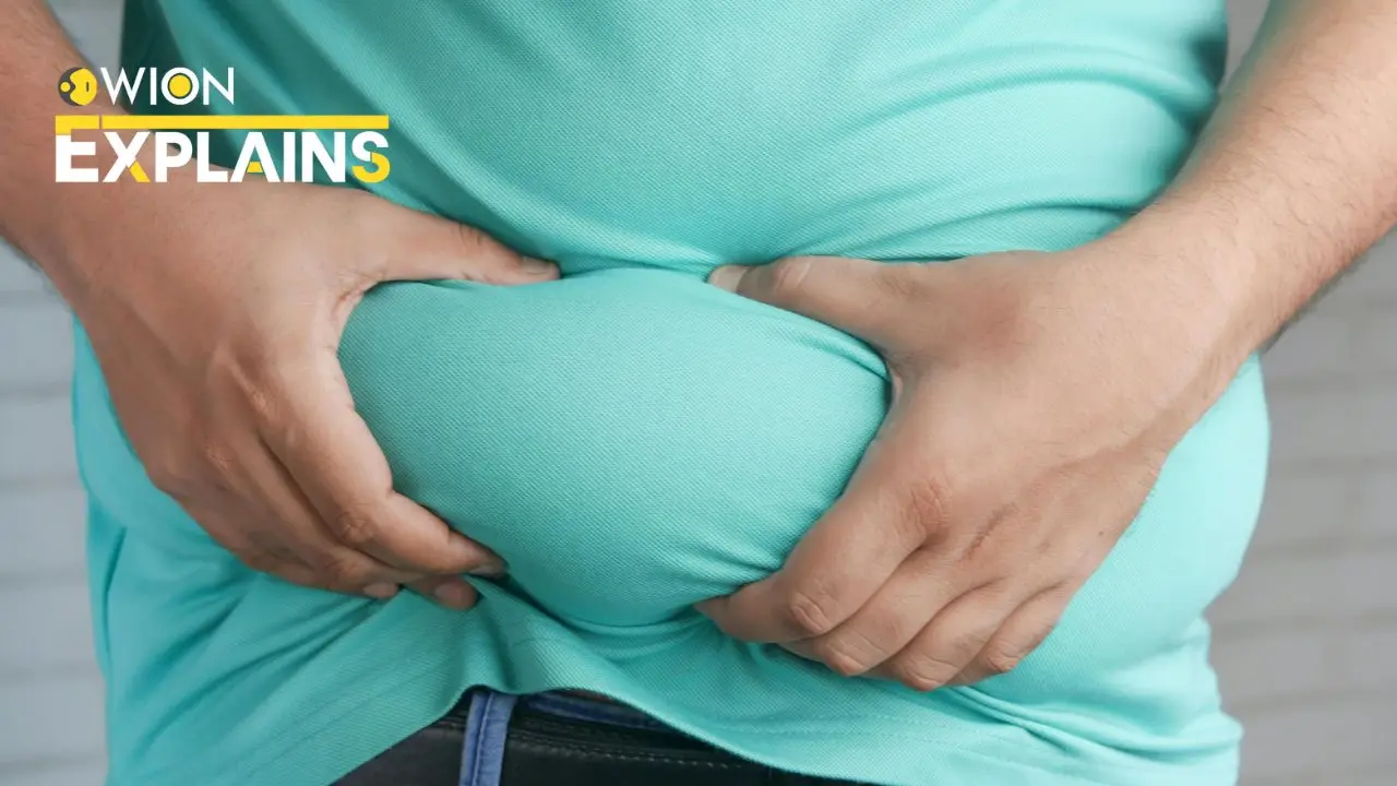 Explained | PM Modi urges India to address obesity. Here’s what you need to know to tackle growing crisis