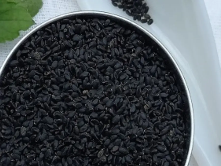 Why Sabja seeds are considered best for Indian race than chia seeds