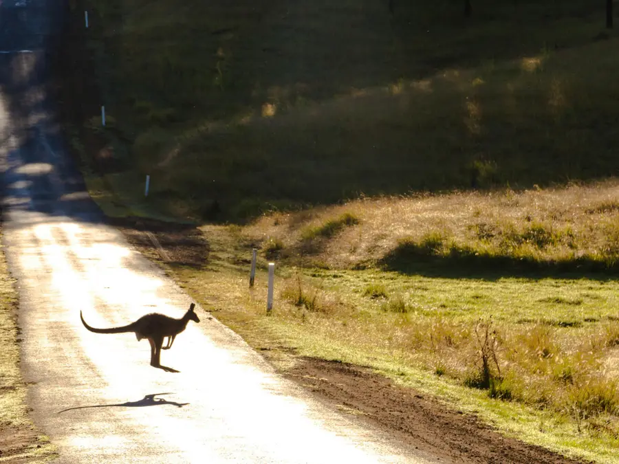 '1/2-a-million-dollar job no one wants': Why an Australian town is struggling to find a doctor
