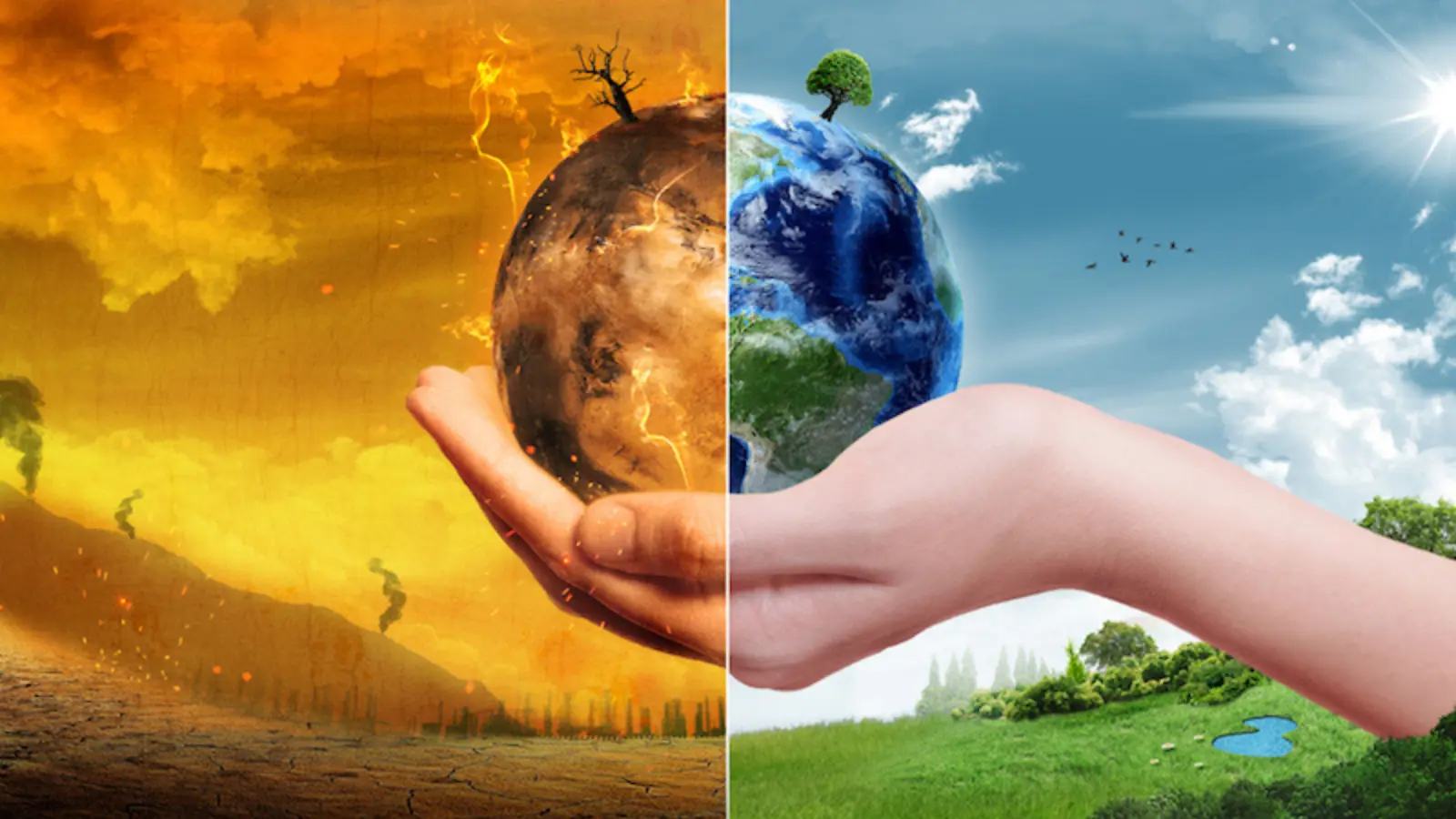 Consequences of Climate Change