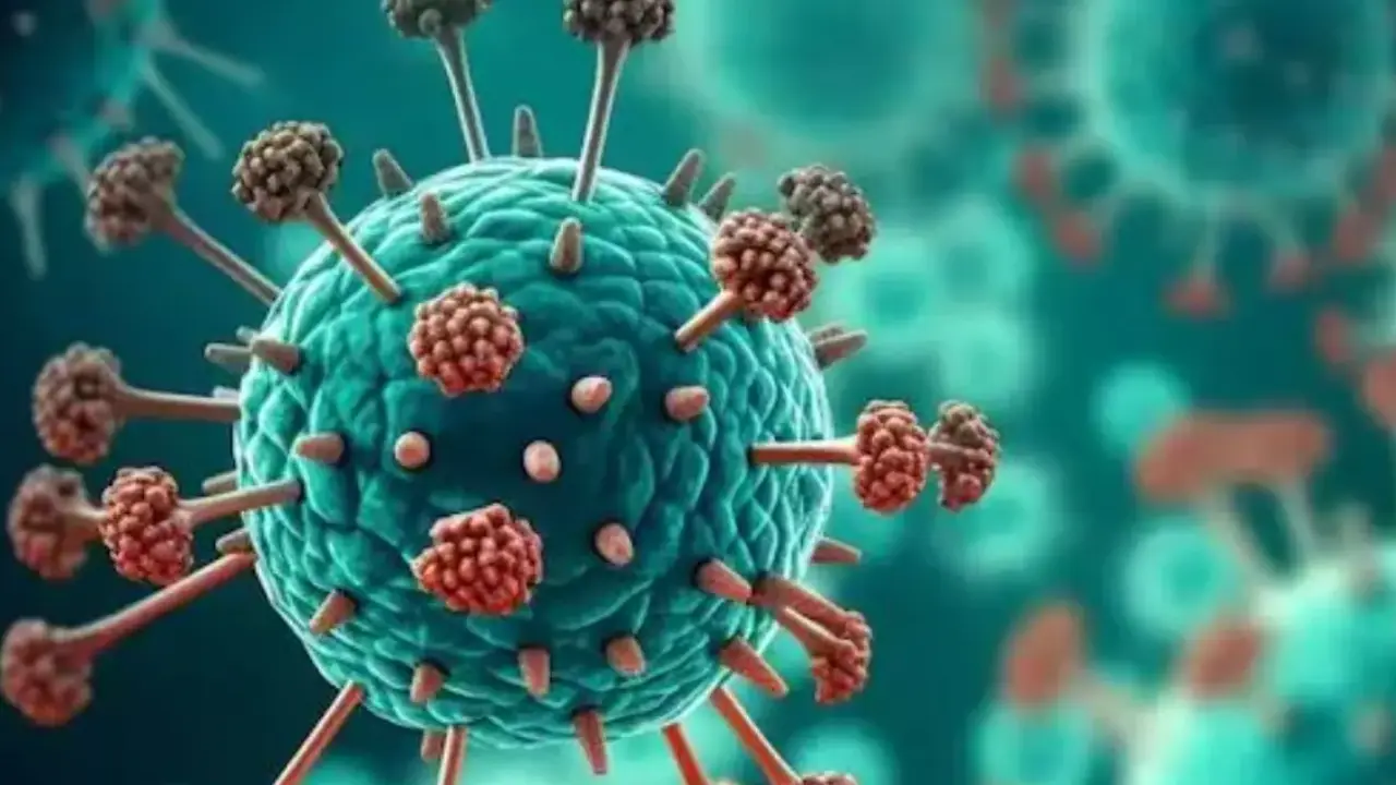 Rare human coronavirus detected in Kolkata woman: What is HKU1, and how does it spread?
