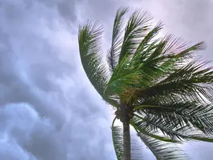 Millions warned of imminent danger as Storm Eowyn set to batter UK
