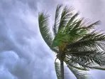 Millions warned of imminent danger as Storm Eowyn set to batter UK