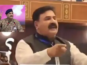 WATCH | Video of man interrupting speech in overseas convention goes viral amid Pak Army chief's controversial statement