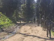 Pahalgam terror attack: India summons Pakistan's top diplomat, hands over persona non grata note