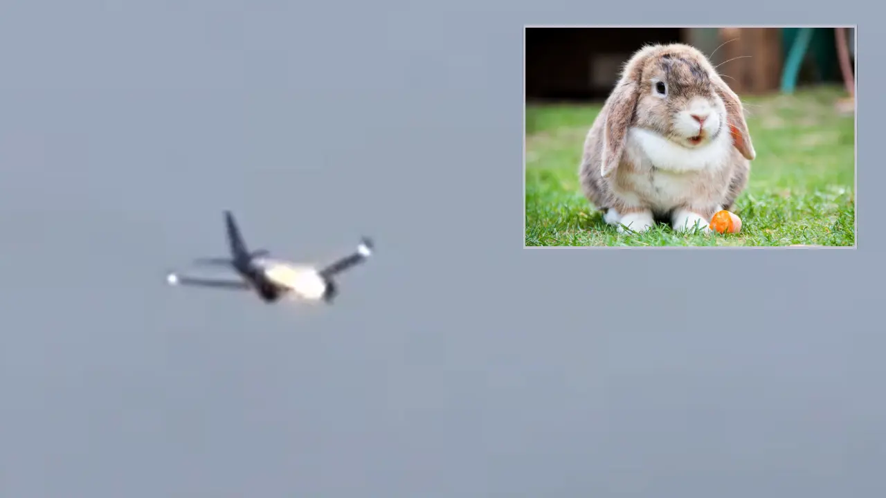 'Rabbit suicide mission' caught on camera: United Airlines plane engine explodes mid-air. Video