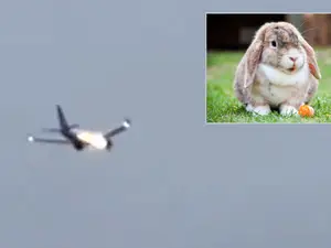 'Rabbit suicide mission' caught on camera: United Airlines plane engine explodes mid-air. Video