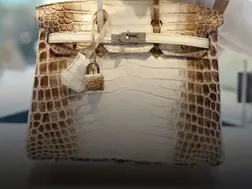 This $250,000 luxury bag by Hermes is named after an Indian mountain range