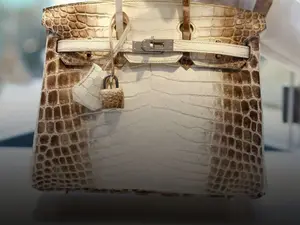 This $250,000 luxury bag by Hermes is named after an Indian mountain range