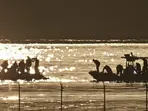 What we know about Washington DC plane crash, deadliest US air tragedy in nearly 24 years