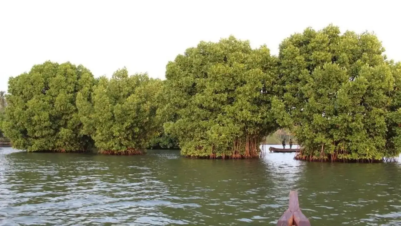 5. Munroe Island – Where the Rivers Meet