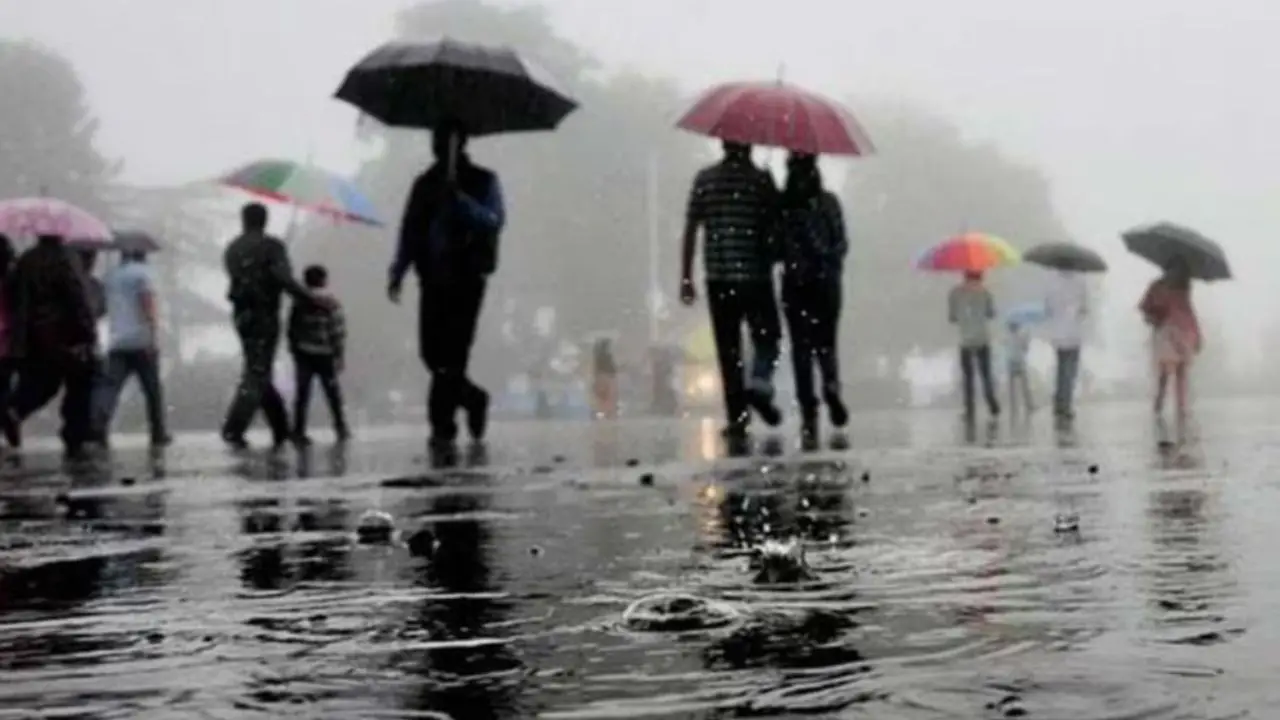 Light rainfall brings relief to Delhi after warmest February night in 74 years