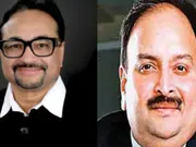 'The most important thing is...': PNB Scam whistle-blower on Mehul Choksi's arrest in Belgium