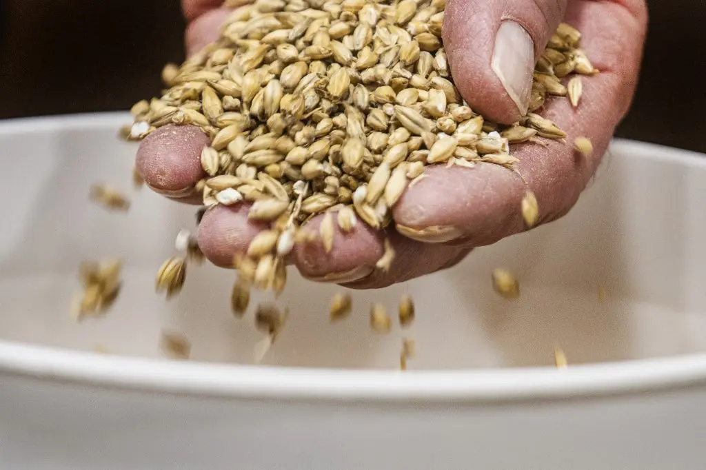 3. Grains (oats, quinoa and barley)