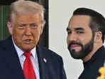 ‘One hell of a president’: Trump praises ‘world’s coolest dictator’ Bukele as El Salvador jails US deportees in mega-prison