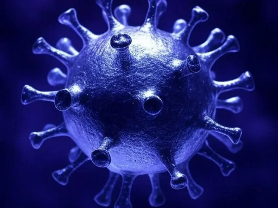India's first HMPV virus case detected in Bengaluru