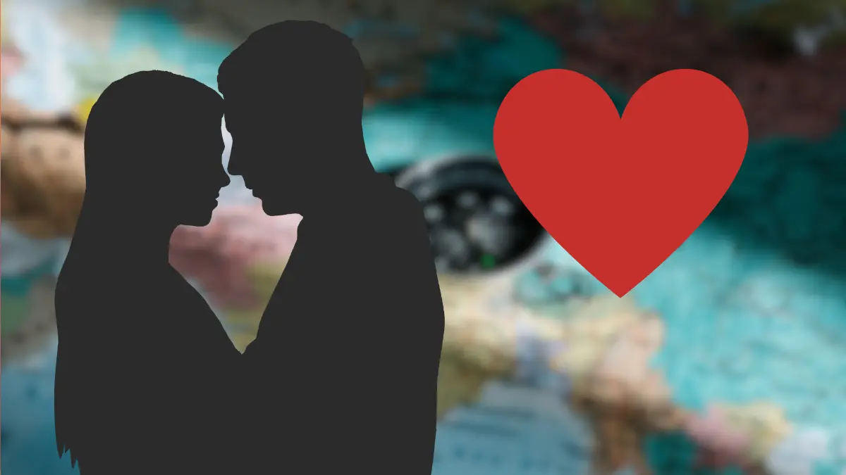 Indian man crosses into Pakistan border to meet online lover, arrested