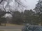 Video shows exact moment plane crashes into a home in Brooklyn Park, Minnesota