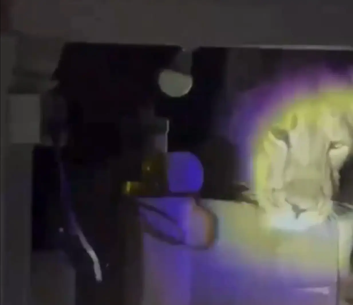 Watch | Lion enters Gujarat house, spotted peeking into the kitchen; video goes viral