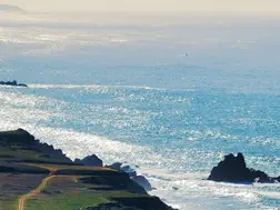 Researchers find unexpected radioactive isotope at Pacific Ocean's bottom