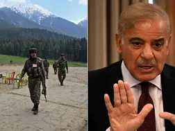 Ex-Pak cricketer questions Islamabad and Shehbaz Sharif on Pahalgam attack: 'Deep down, you know the truth'