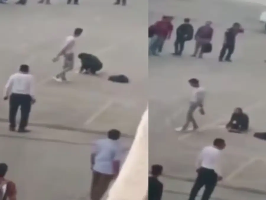 Video: Cleaver-wielding man kills female colleague in India’s Pune over money dispute