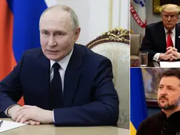Top 10 world news: Putin aide slams US ceasefire proposal; Trump warns 200% tariff on EU alcohol, and more