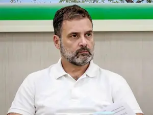 Operation Blue Star: 'I was not there...' Rahul Gandhi replies when confronted by a Sikh man