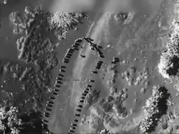 'They will never sink our ships again!' Trump shares video of US airstrike on Houthis, says no attack by terror group now