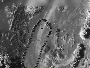 'They will never sink our ships again!' Trump shares video of US airstrike on Houthis, says no attack by terror group now